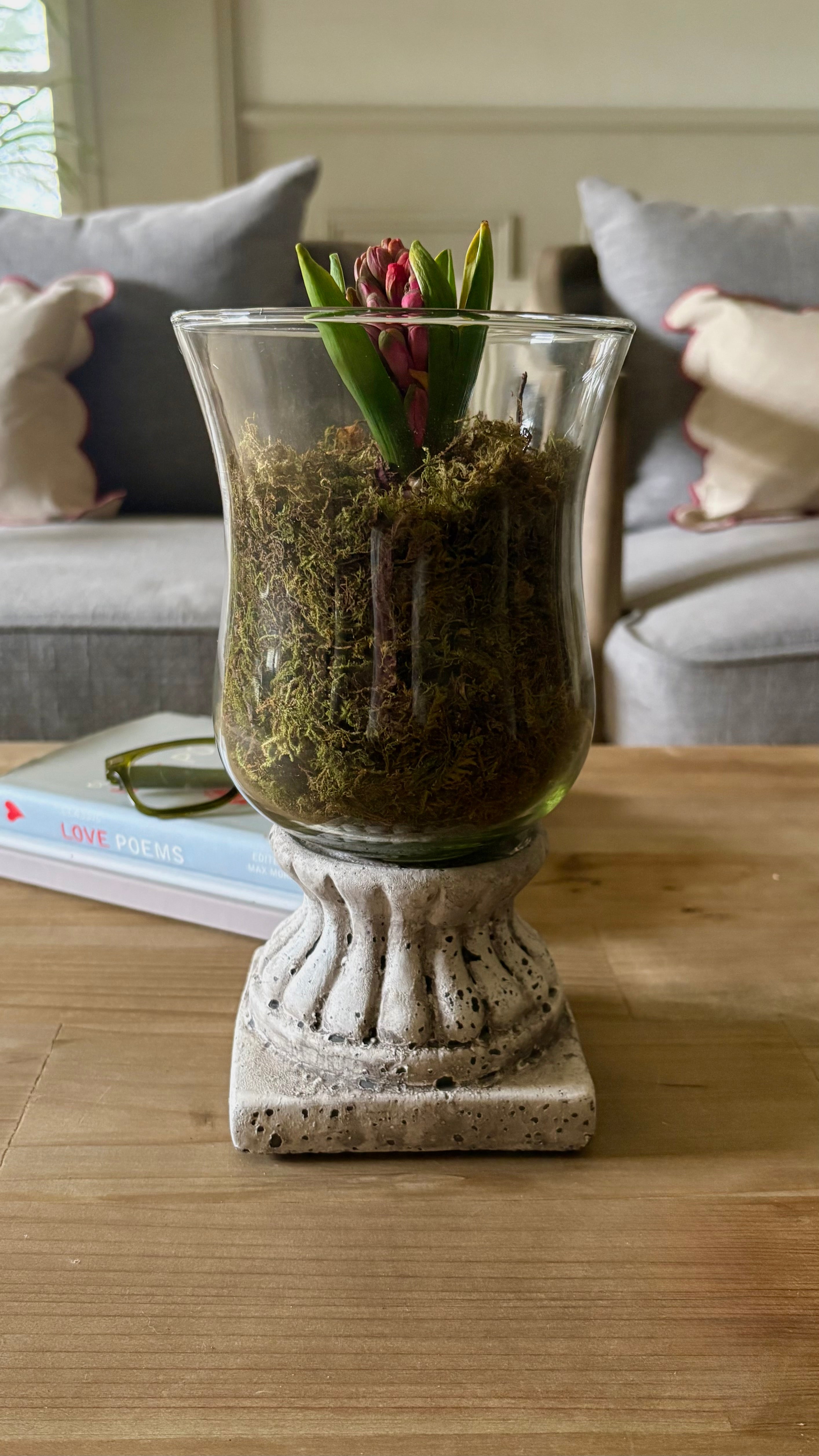 Scalloped Stone Hurricane