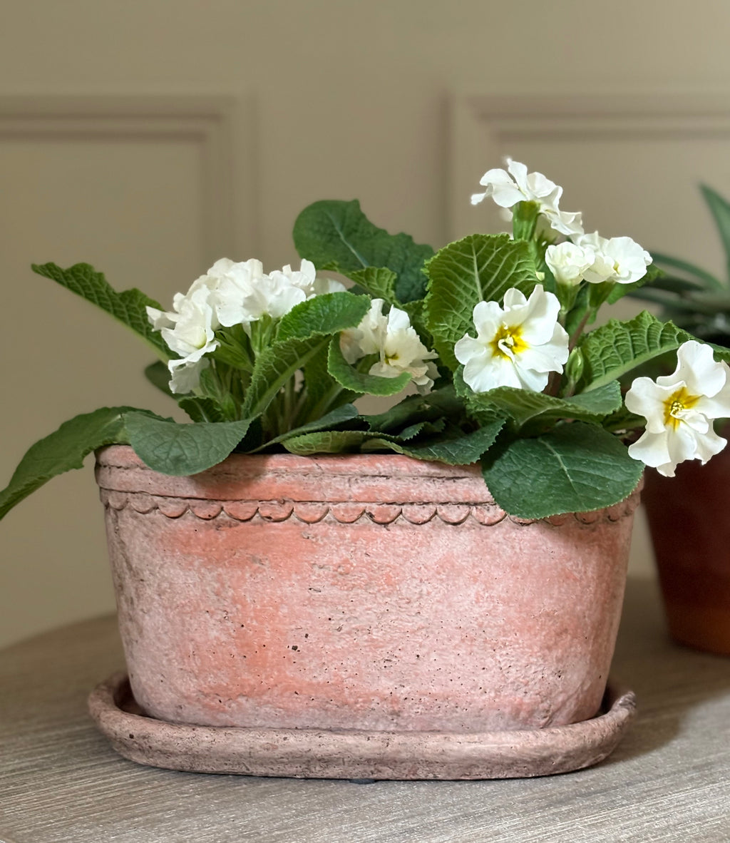 Oval Planter
