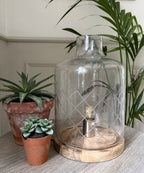Etched Glass Hurricane Lamp - Natural