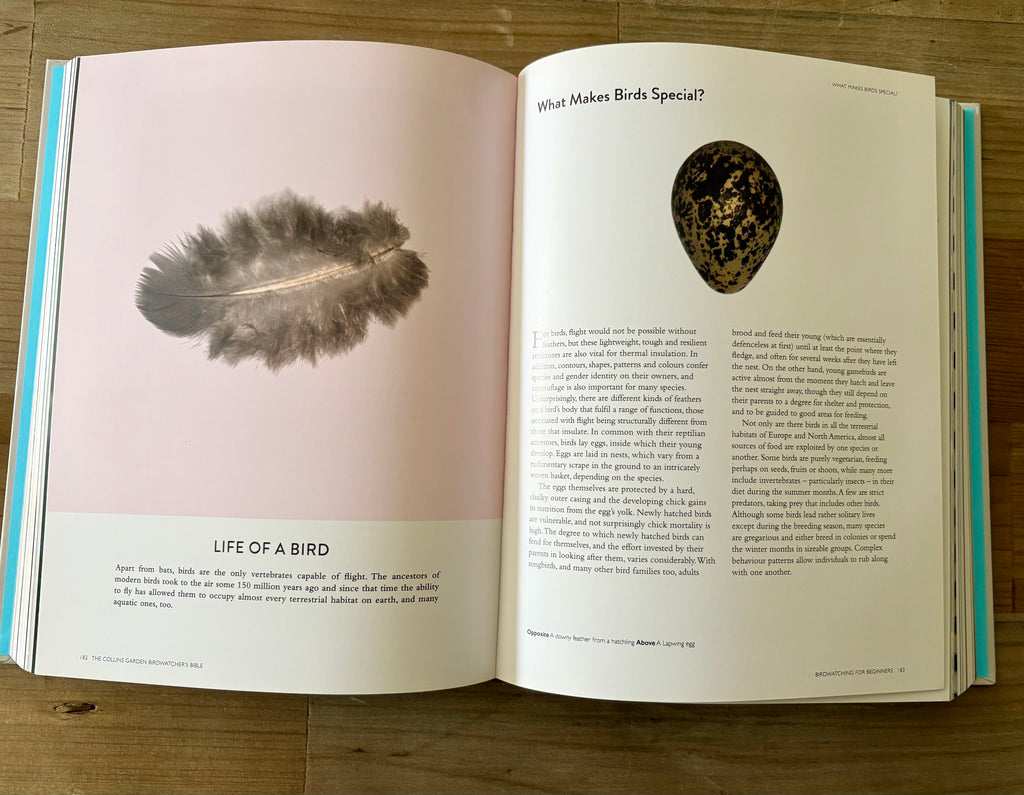 Collins Harper Bird Watching Bible