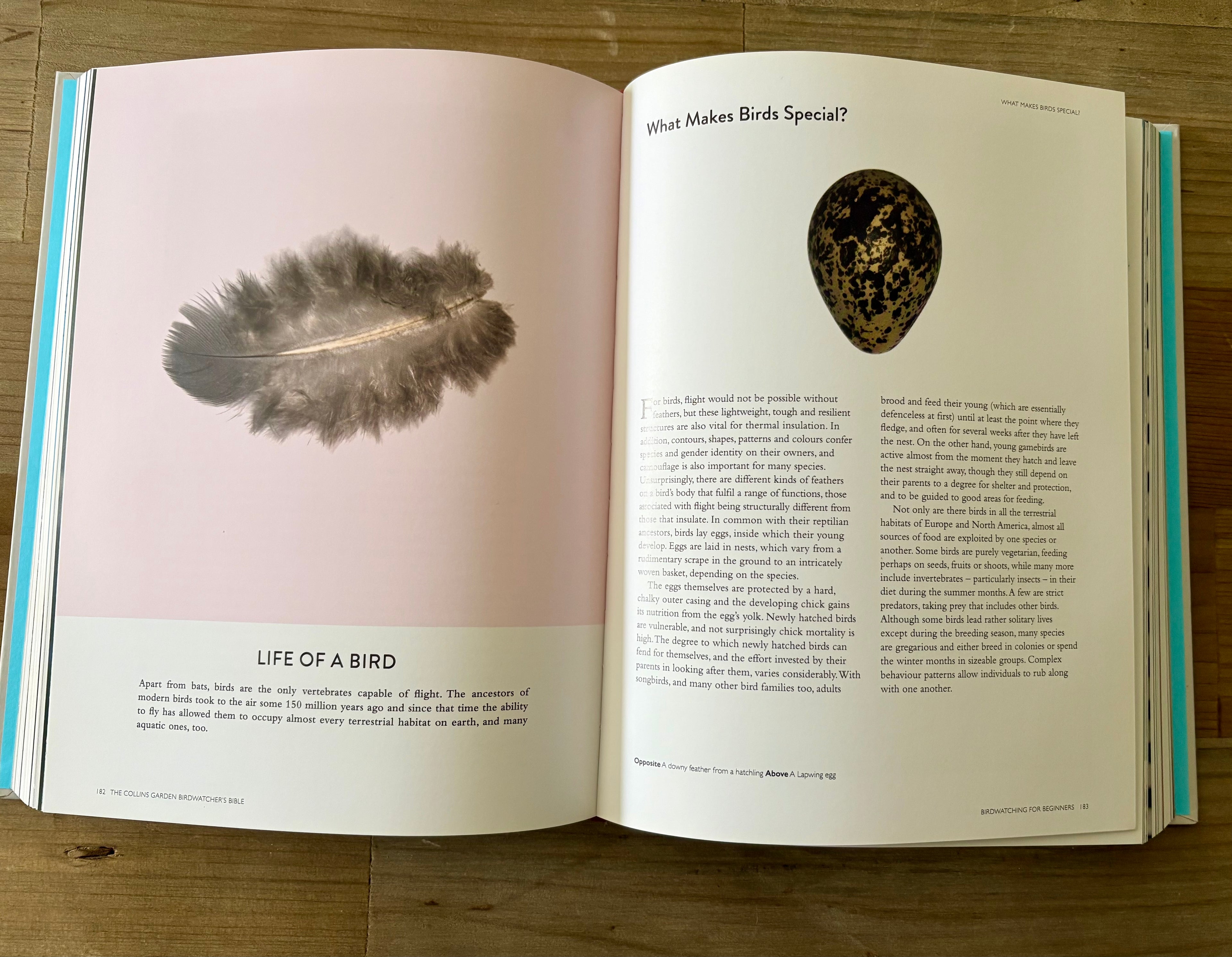 Collins Harper Bird Watching Bible