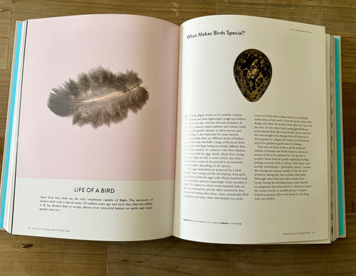 Collins Harper Bird Watching Bible