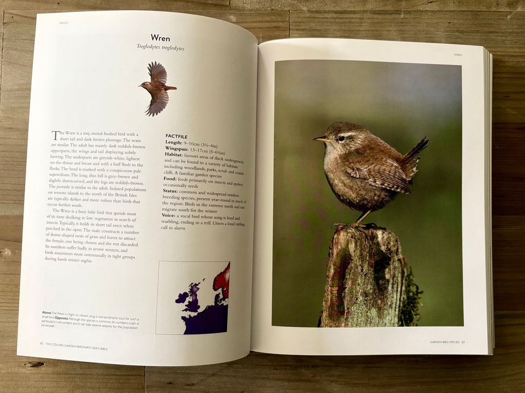 Collins Harper Bird Watching Bible