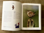 Collins Harper Bird Watching Bible