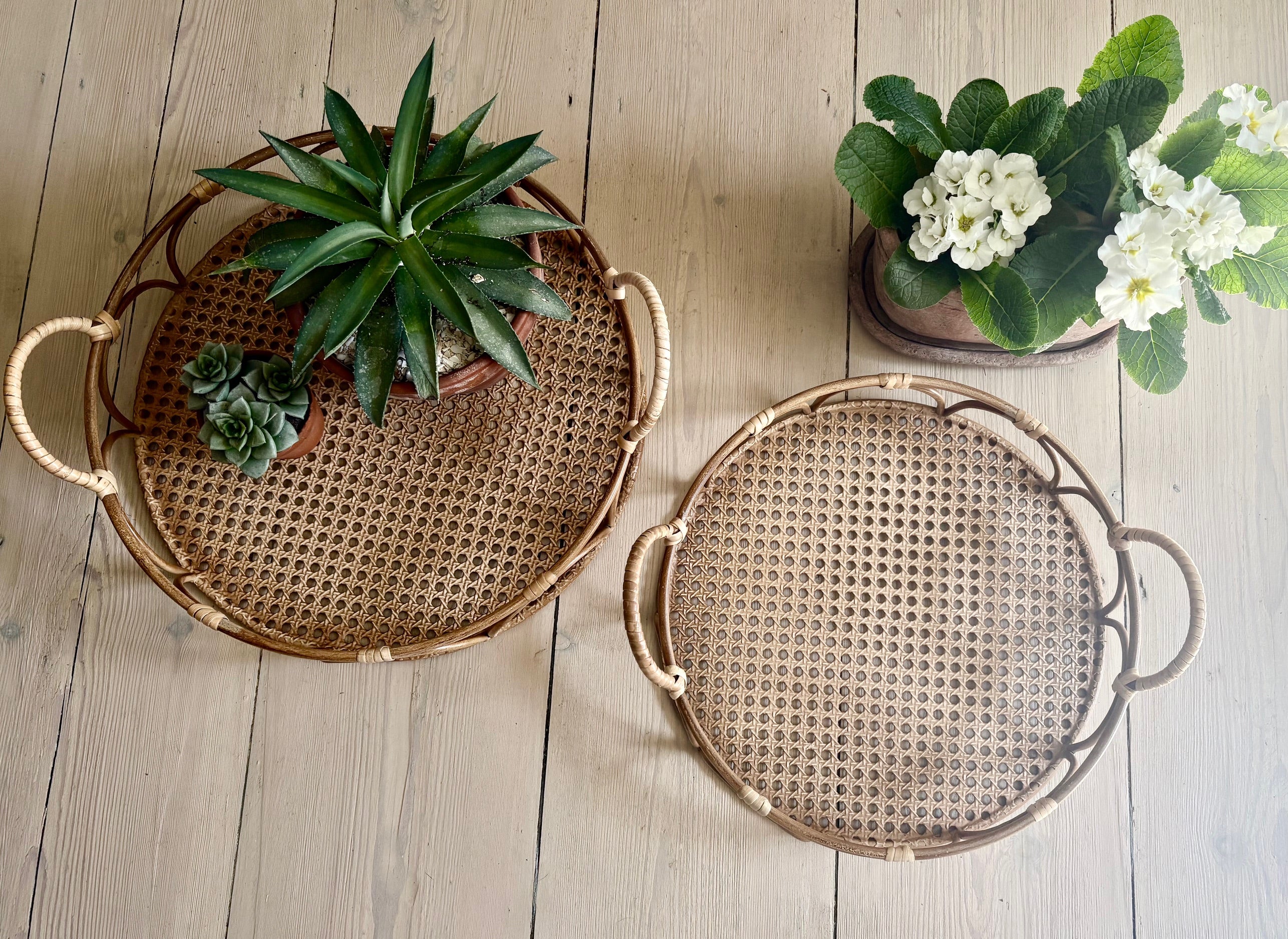Set of Two Rattan Trays