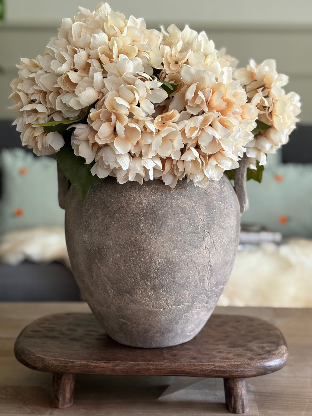 Soft Cream Hydrangea