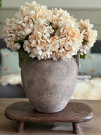 Soft Cream Hydrangea