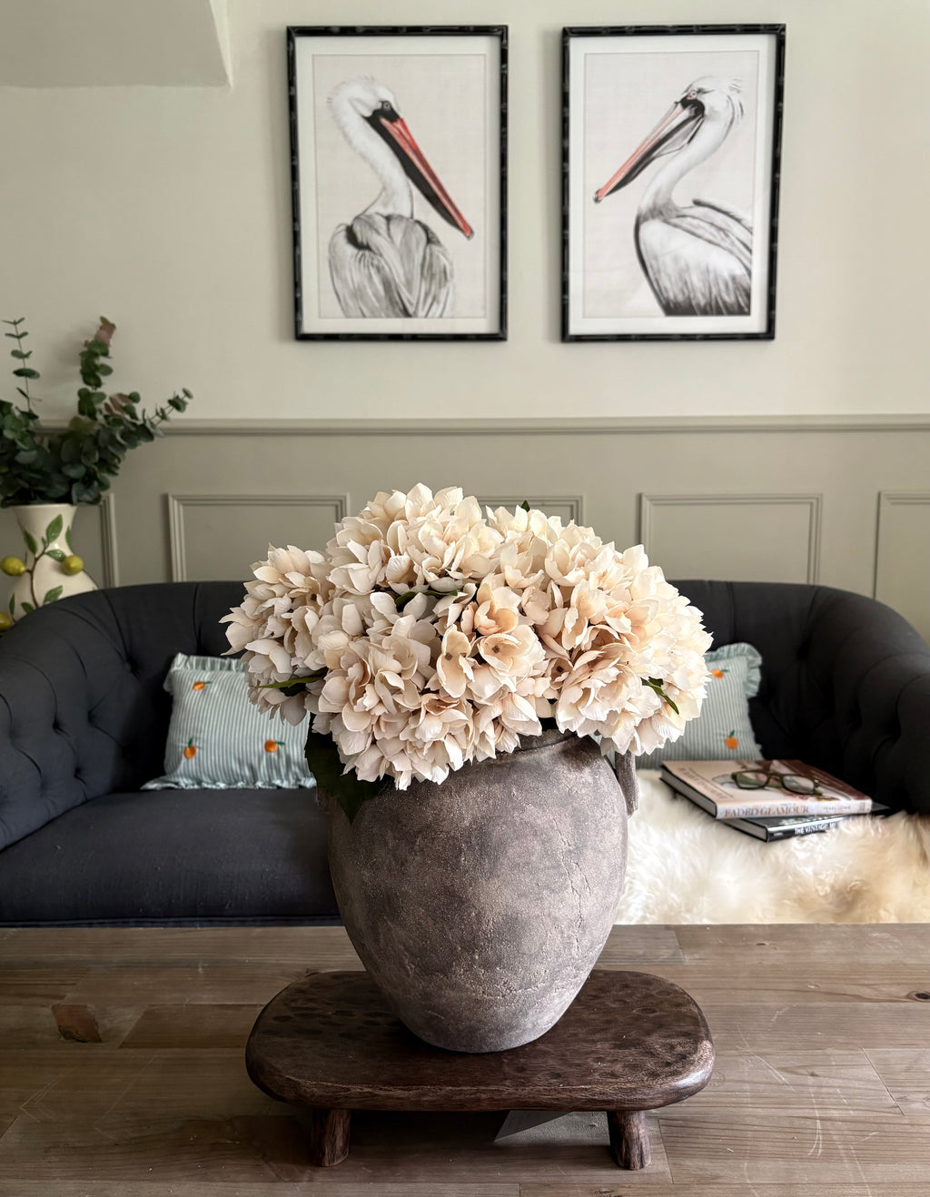 Soft Cream Hydrangea