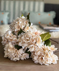 Soft Cream Hydrangea