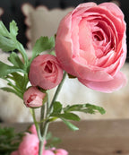 Artificial Real Touch Ranunculus, Pink