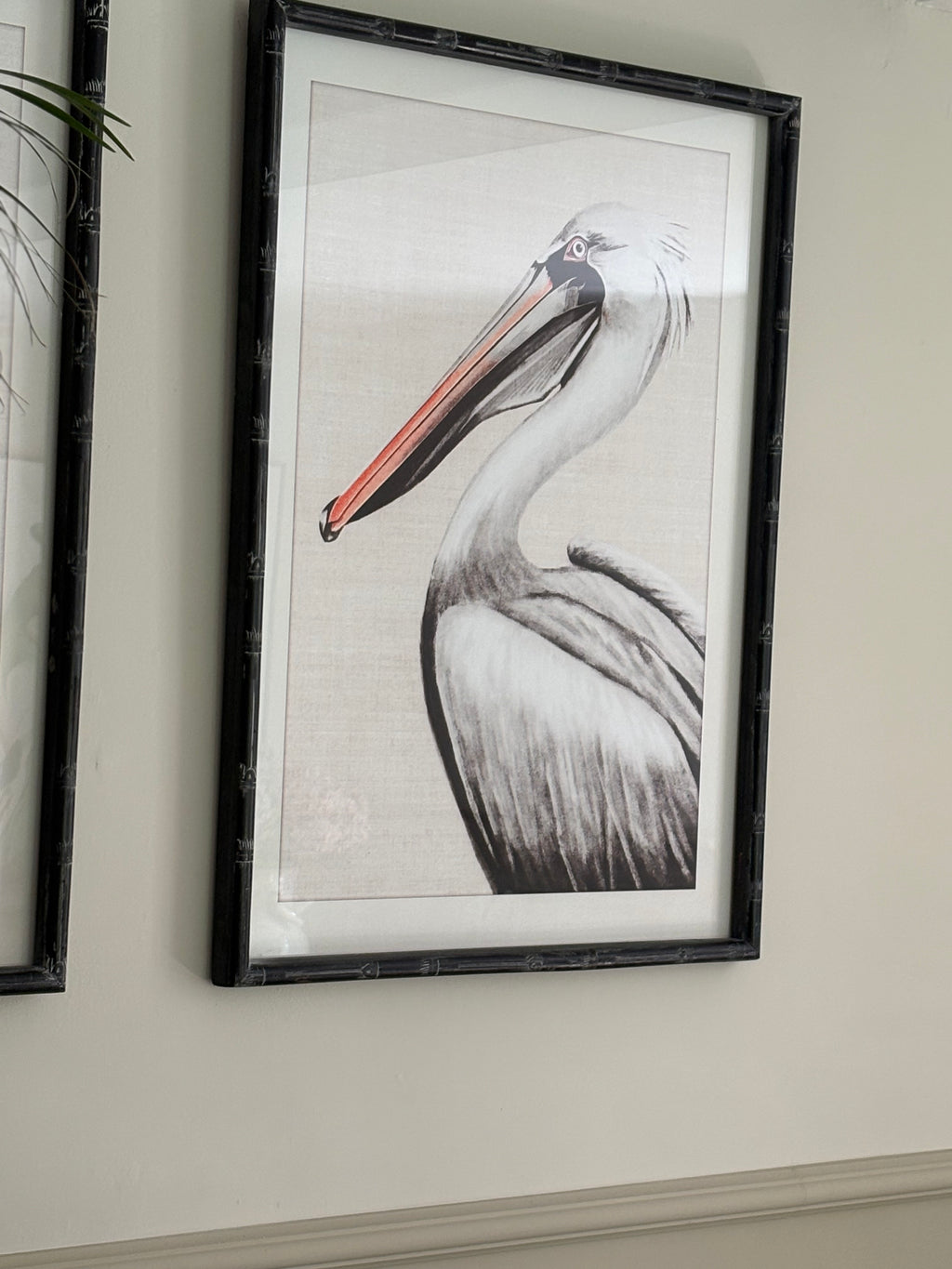 Pair of Pelican Prints