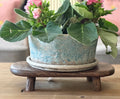Blue Planter