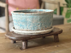 Blue Planter