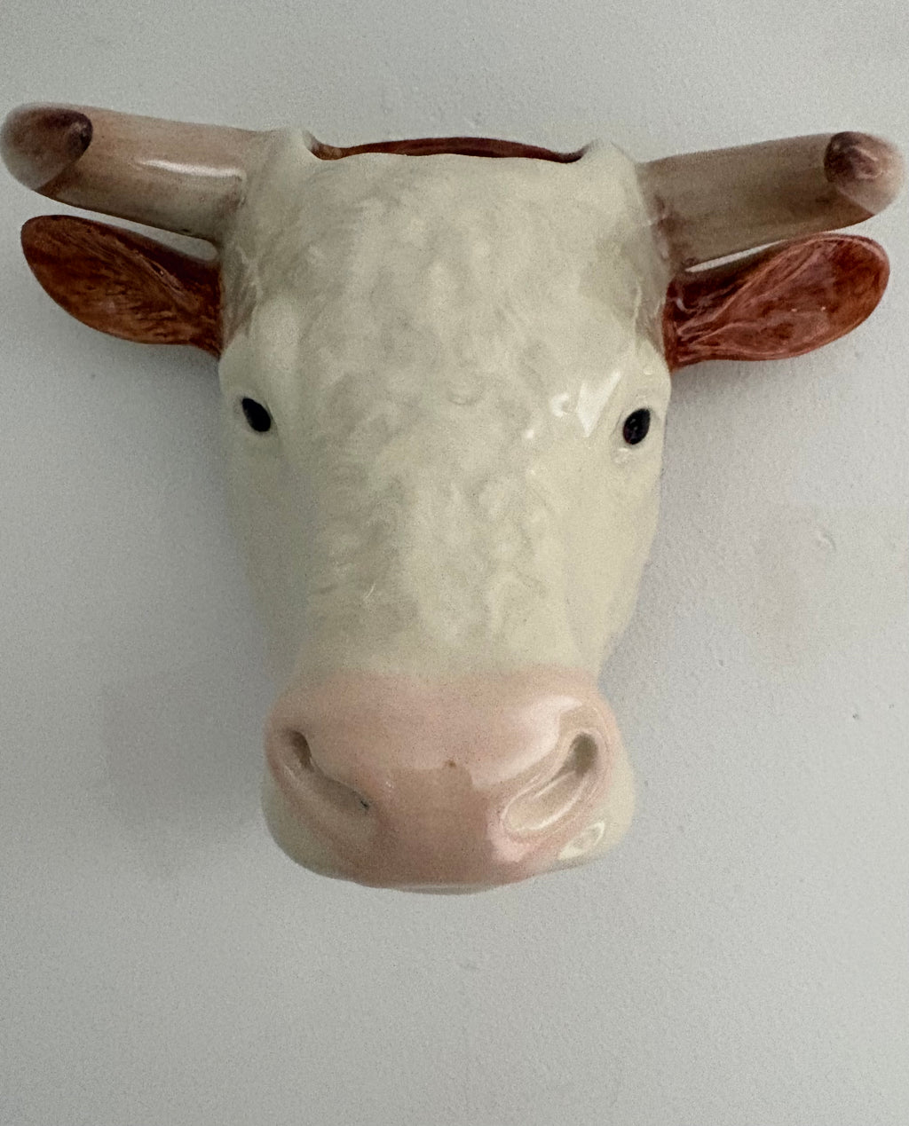 Hereford Bull Wall Vase