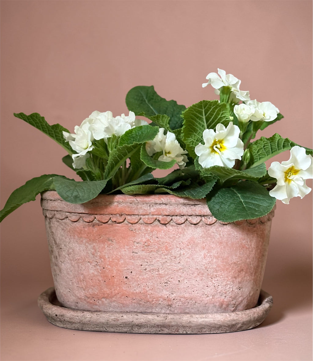 Oval Planter