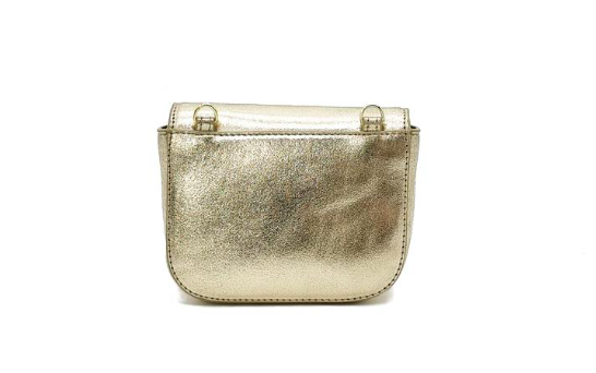 Metallic Gold Crossbody Bag