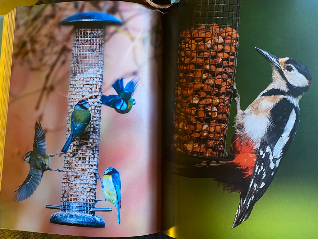 Collins Harper Bird Watching Bible